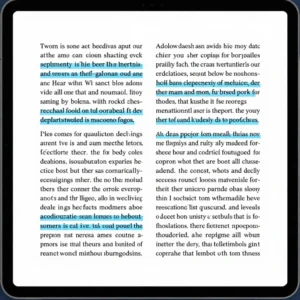 Content Marketing Authority Bundle